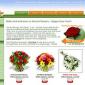 In Praise of... Arena Flowers