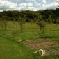 The peaceful, natural burial ground at Clayton Wood