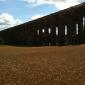 A bridge below: the Ouse Valley Viaduct at Balcombe